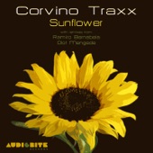 Corvino Traxx - Sunflower