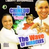 Prince Chinedu Nwadike - Many Miracles