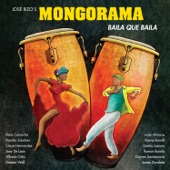 Baila Que Baila (feat. James Zavaleta & Danilo Lozano) artwork