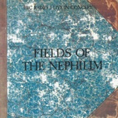 Fields of the Nephilim - Chord Of Souls