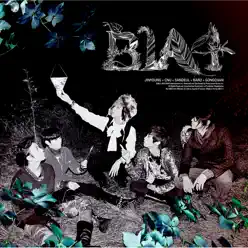 IN THE WIND 日本仕様盤 - B1A4