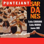 Sardanas de la Pau (Instrumental) artwork