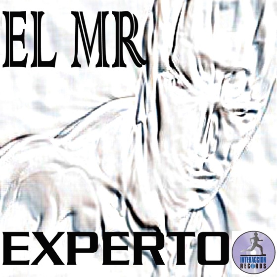Cover artwork for Experto