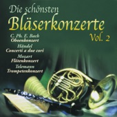 Konzert D-Dur für 3 Trompeten, 2 Oboen, Streicher, Pauken und Basso continuo, BD 1: II. Largo artwork