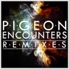Encounters (Remixes) - EP, 2013