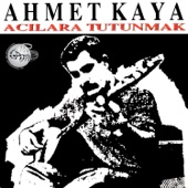 Acılara Tutunmak artwork