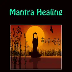 Mantra Healing - EP by Wildlife album reviews, ratings, credits