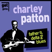 Father of the Delta Blues artwork