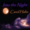 Into the Night (Visionx Club Mix) - Carol Hahn lyrics