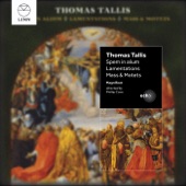 Tallis: Spem in alium artwork