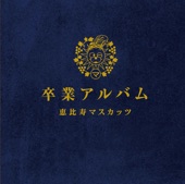 Sotsugyou Album (Standard Edition), 2013