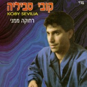 דניאלה artwork