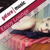 Enjoy Lounge Music, Vol. 2, 2013