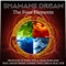 Water Spirits (feat. Rara Avis & Amani Friend) - Shaman's Dream lyrics