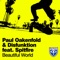 Beautiful World (feat. Spitfire) - Paul Oakenfold & Disfunktion lyrics