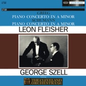 Concerto in A Minor for Piano and Orchestra, Op. 54: I. Allegro affettuoso artwork