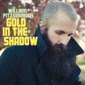 Gold in the Shadow - William Fitzsimmons