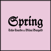 Spring - EP - Teho Teardo & Blixa Bargeld