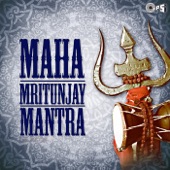 Maha Mritunjay Mantra artwork
