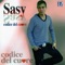 Un amore senza tempo - Sasy lyrics