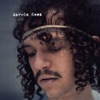 Darwin Deez, 2011