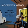 Noche Flamenca (feat. Niño Ricardo)