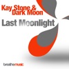 Last Moonlight (Remixes) - Single