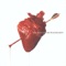 29 X the Pain - The Wildhearts lyrics