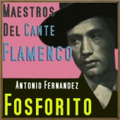 Maestros del Cante Flamenco artwork