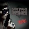 Dave Evans & Nitzinger - Going Back to Texas
