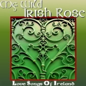 My Wild Irish Rose - Love Songs of Ireland artwork