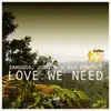 Stream & download Love We Need - Single