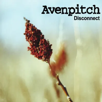 Disconnect - Avenpitch