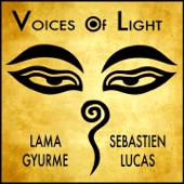 Voices of Light artwork