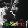 Smoke the Weed (feat. Collie Buddz) song lyrics