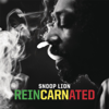 Smoke the Weed (feat. Collie Buddz) - Snoop Lion