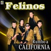 Rumbo A California - Felinos