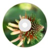 Wndlrs - Groen Licht