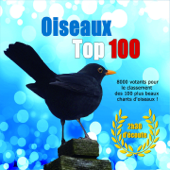 Oiseaux Top 100 (Les 100 plus beaux chants d'oiseaux) - Henk Meeuwsen