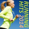 Running Hits 2014, 2014