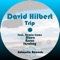 Trip - David Hilbert lyrics