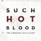 Elizabeth - The Airborne Toxic Event