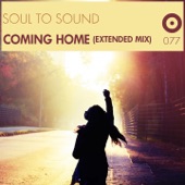 Coming Home (Extended Mix) artwork