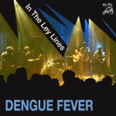 Dengue Fever - New Year's Eve