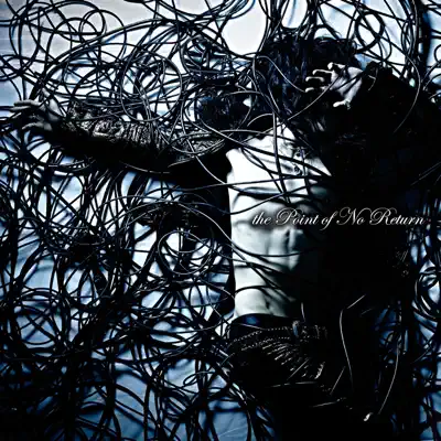 the Point of No Return(初回盤) - Single - D.I.D.