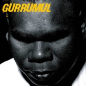 Gurrumul History (I Was Born Blind) artwork