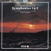 Symphony No. 1 in D Minor, Op. 21: I. Allegro moderato artwork