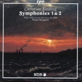 Symphony No. 1 in D Minor, Op. 21: III. Vivace artwork