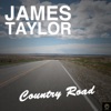 James Taylor - Up On the Roof
