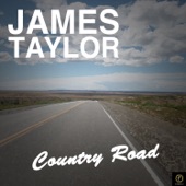 James Taylor - You've got a friend